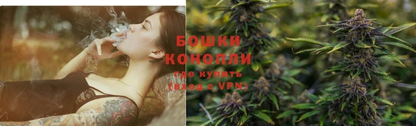 шишки Алзамай
