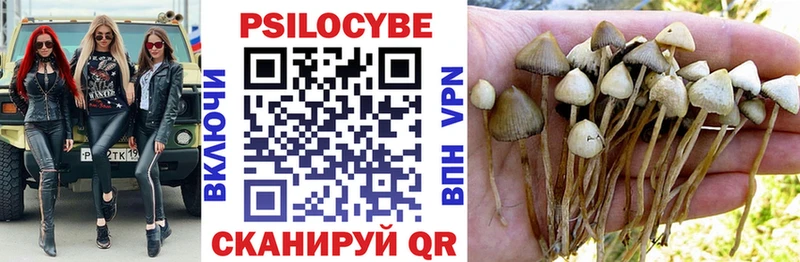 цена наркотик  Владивосток  Галлюциногенные грибы мицелий 